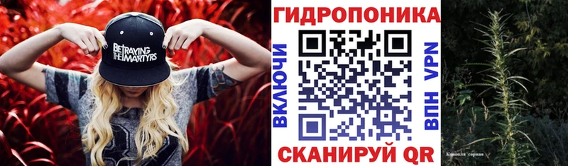 Конопля марихуана  Хадыженск 